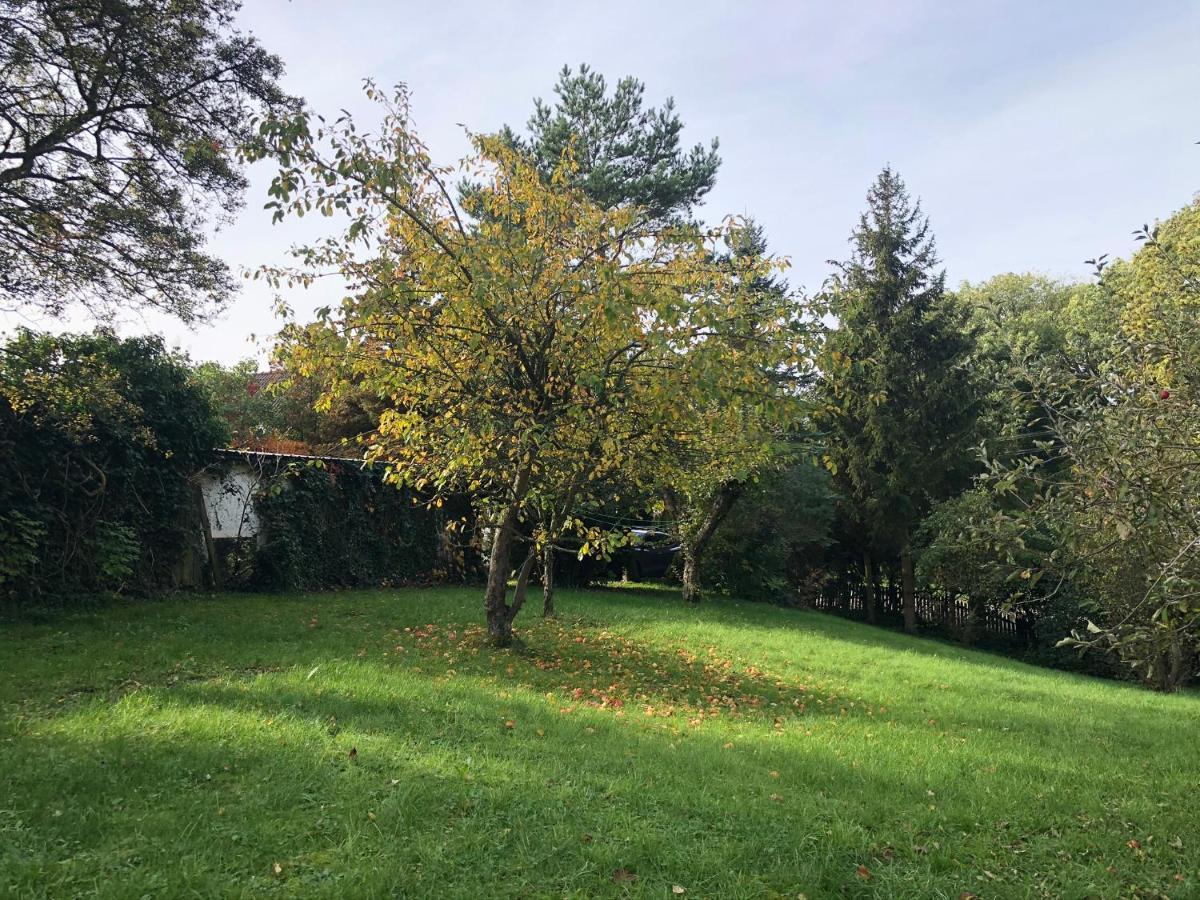 Lubin  Apple Tree Houseヴィラ エクステリア 写真